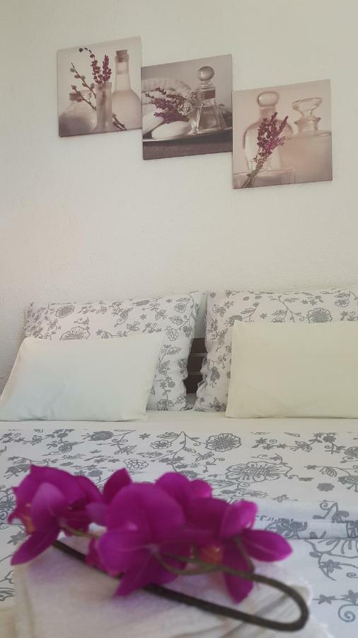 Apartman Duba 塞尼 外观 照片